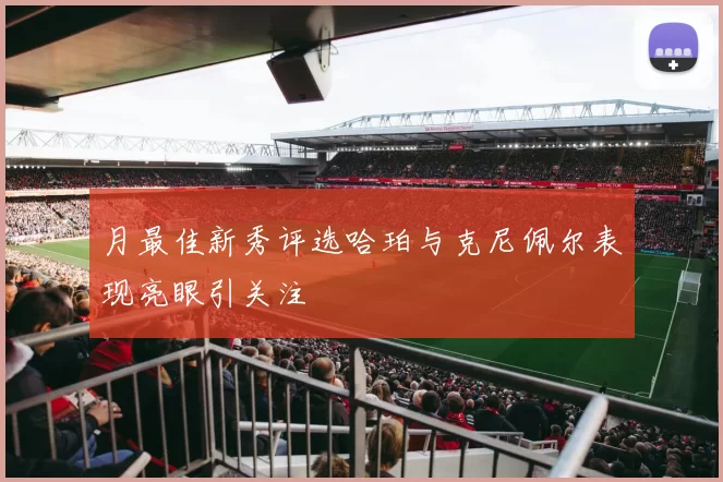 月最佳新秀评选哈珀与克尼佩尔表现亮眼引关注