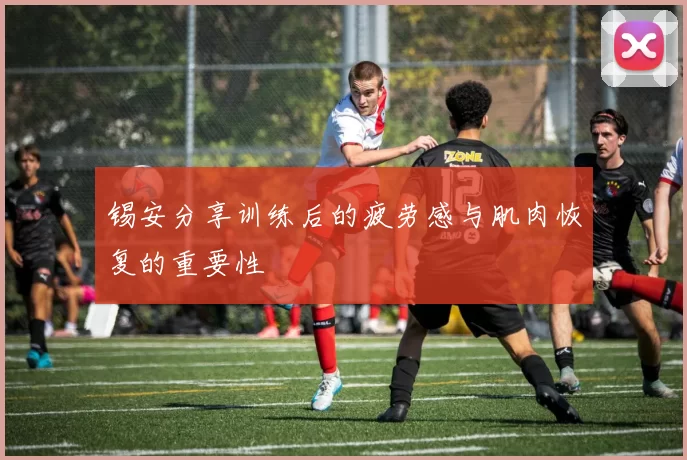 锡安分享训练后的疲劳感与肌肉恢复的重要性